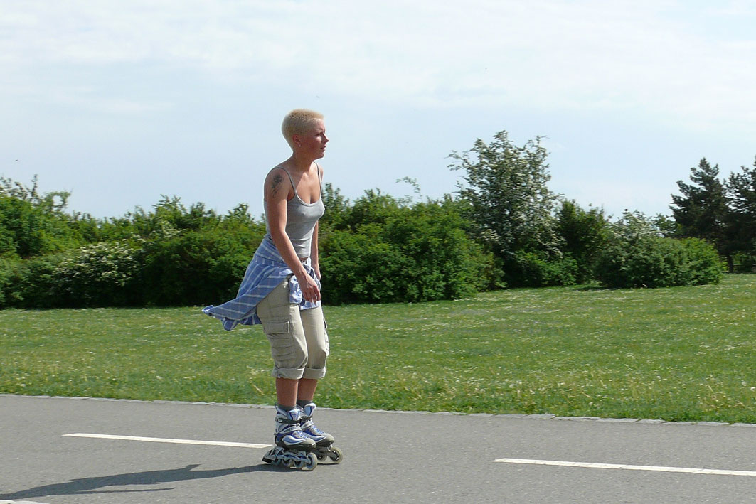 fstr0054e.jpg