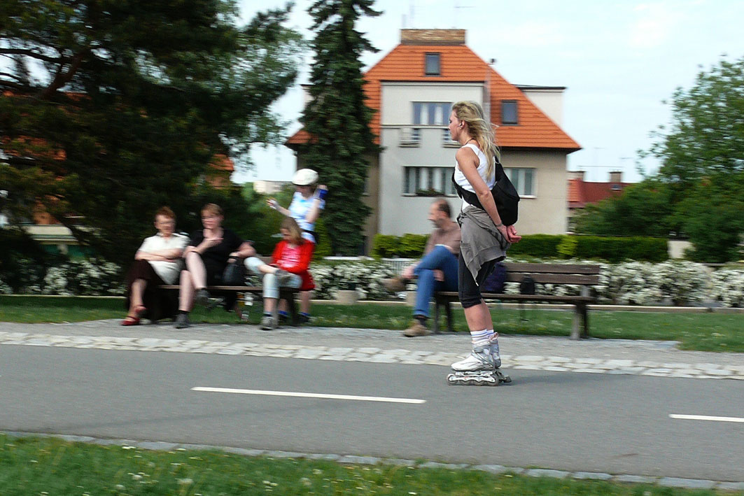 fstr0055e.jpg