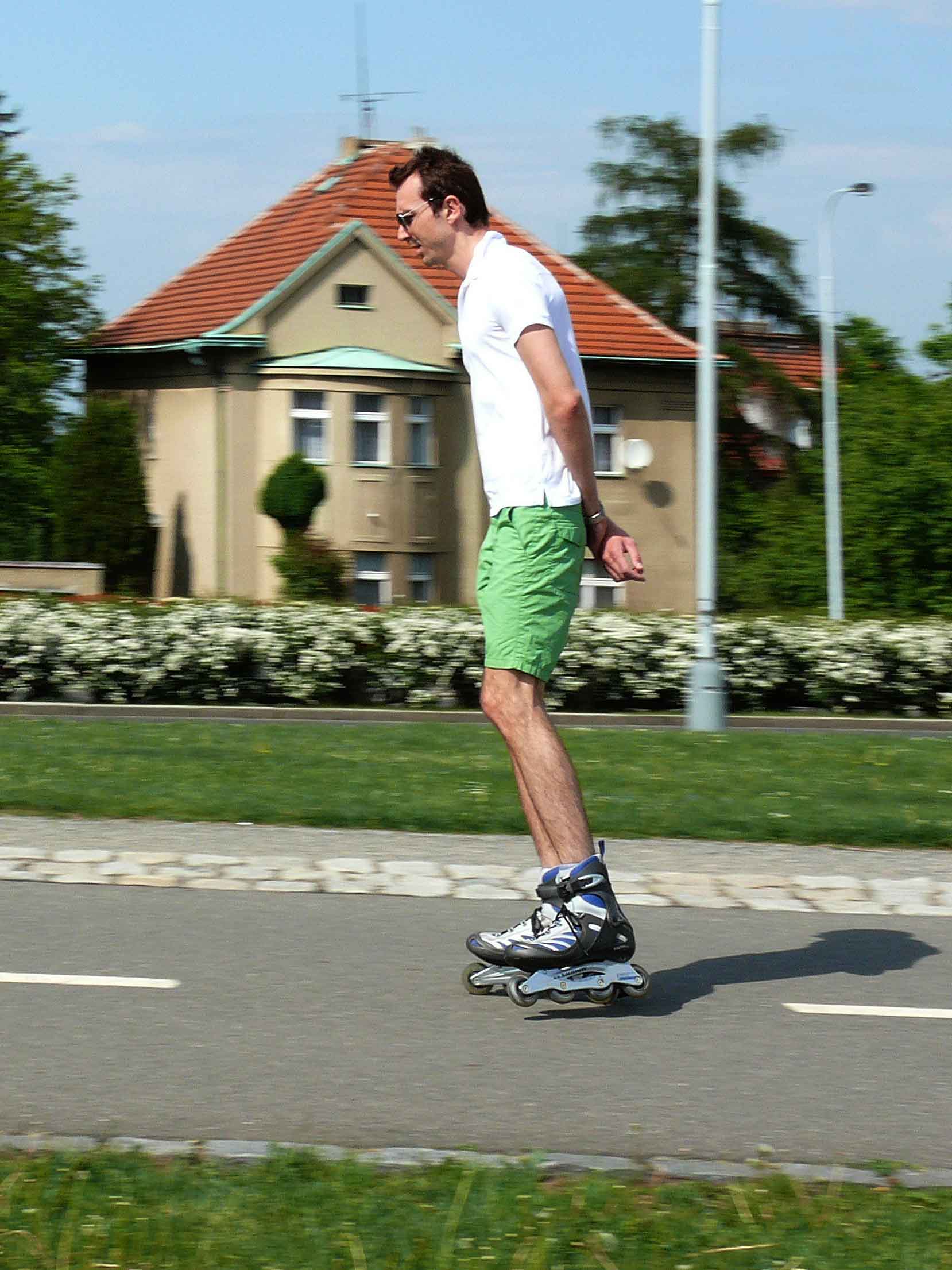 fstr0056e.jpg