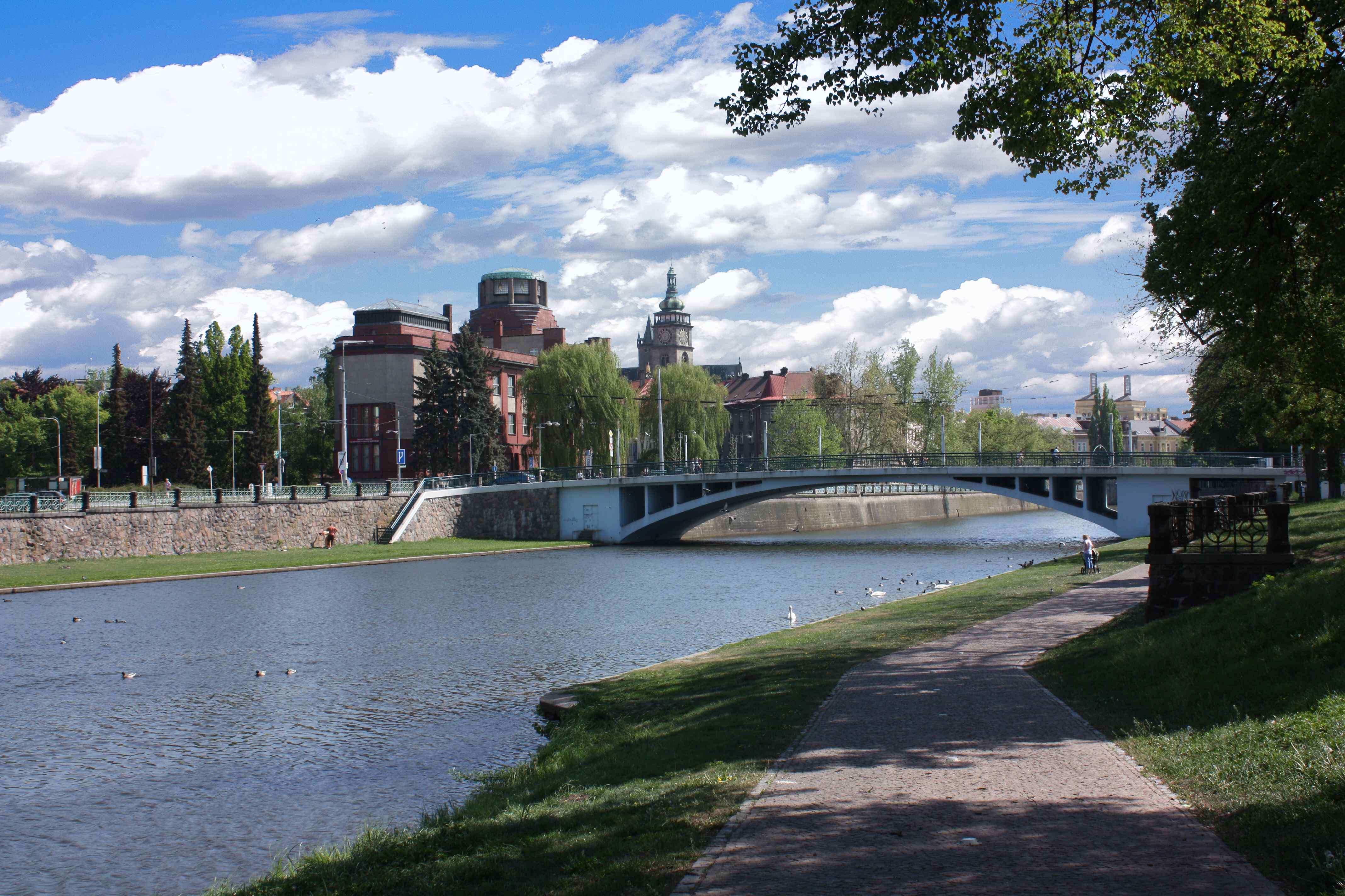 fothk_0032.jpg