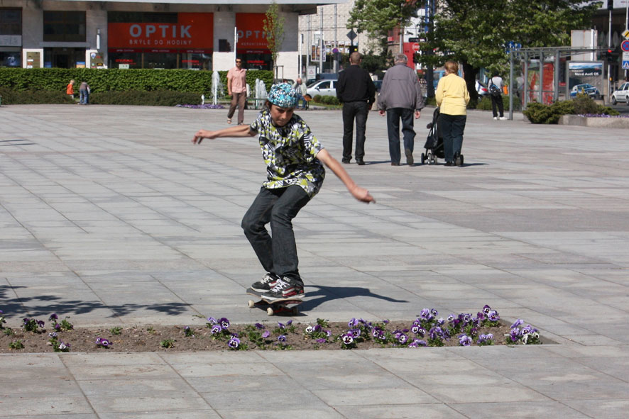fstr0020e.jpg