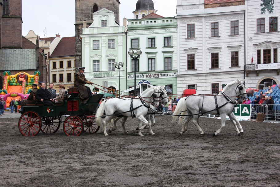 IMG_1318.jpg