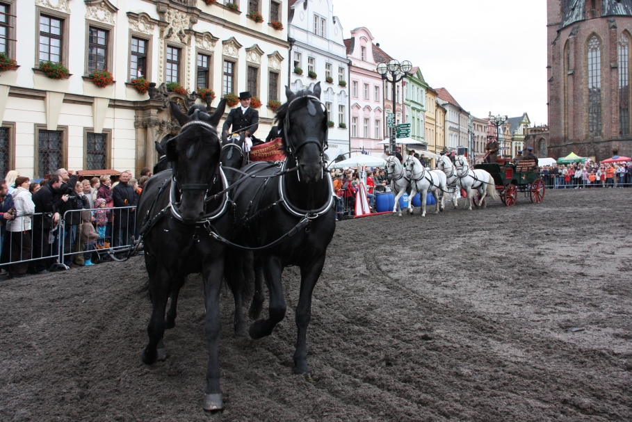 IMG_1323.jpg