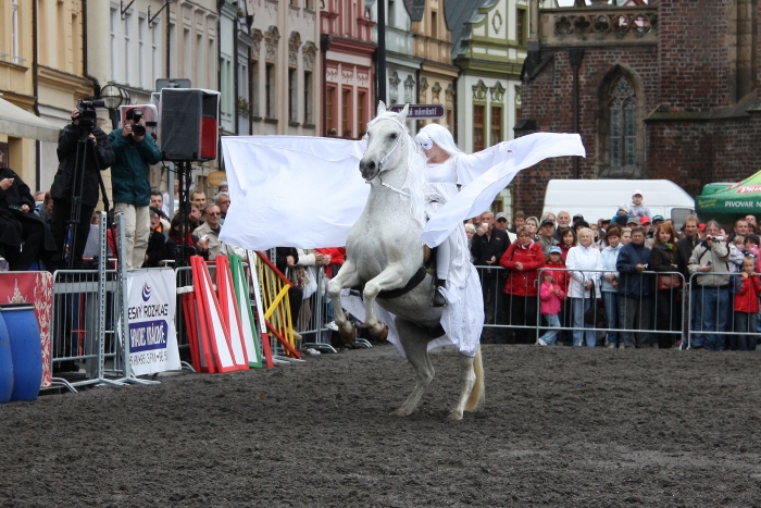 IMG_1357.jpg