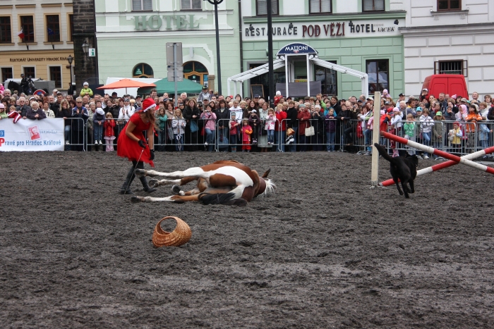 IMG_1400.jpg