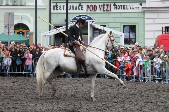 IMG_1416.jpg