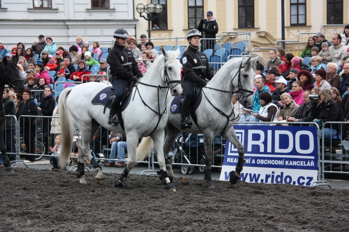 IMG_1475.jpg