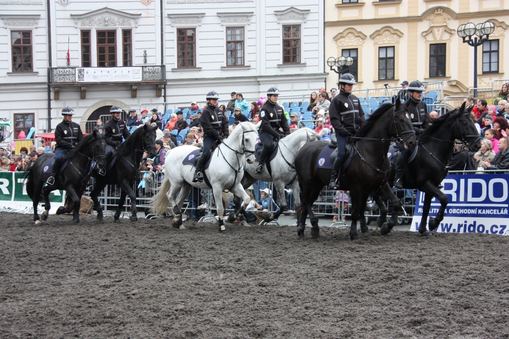 IMG_1555.jpg